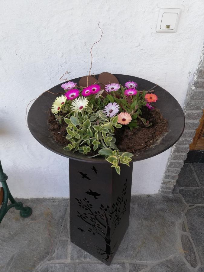 Fruehstueckspension Alpenrose Bed & Breakfast Iselsberg Екстериор снимка
